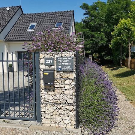 Ubytování Tři Vrby Pasohlávky Exterior foto
