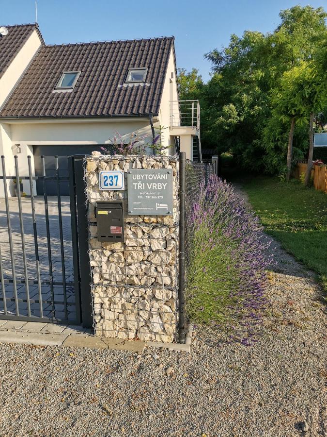 Ubytování Tři Vrby Pasohlávky Exterior foto