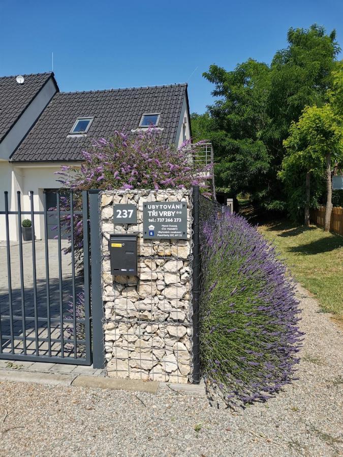 Ubytování Tři Vrby Pasohlávky Exterior foto